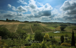 Tenuta Santa Caterina vigneti Piemonte