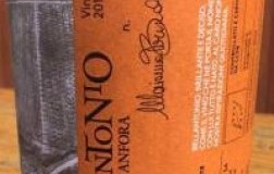 Tenuta Santi Giacomo e Filippo Bellantonio Elevato in Anfora 2016