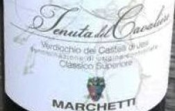 Marchetti Verdicchio dei Castelli di Jesi Classico Superiore Tenuta del Cavaliere vino bianco Marche