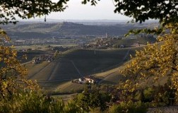 Tenuta Cisa Asinari dei Marchesi di Gresy - panorama