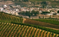 Tenuta Orestiadi Gibellina