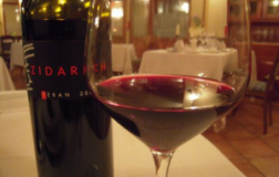 Teran-2008.jpg