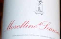 terenzi morellino di scansano vino rosso toscana