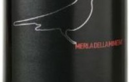 terenuzuola canaiolo toscano igt merla della miniera vino rosso toscana etichetta doctorwine