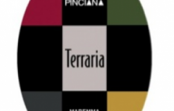 Terraria-2007.jpg