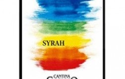 Cortona Syrah Terrasolla 2017 Canaio