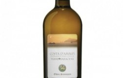 Terre-Saracene-2015.jpg