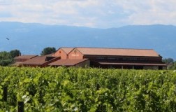 Terre di Ger cantina vini panorama