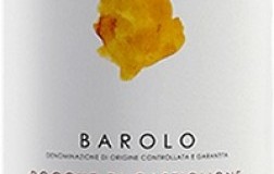 Terre del Barolo Barolo Rocche di Castiglione Arnaldo Rivera 2019