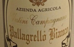 Vestini Campagnano Terre del Volturno Pallagrello Bianco 2018