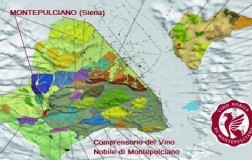 Territorio Vino Nobile di Montepulciano