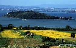 duca della corgna cantina vini umbria corniolo riserva panorama doctorwine