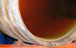 The Umbilical Cord