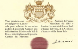 Tignanello-1978.jpg