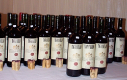 Tignanello-1987.jpg