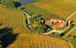 tre monti cantina vini emilia romagna panorama vigne campo di mezzo sangiovese superiore 2016