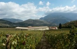Trebbiano? Sì se d'Abruzzo e di Valle Reale