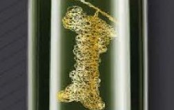 Trebbiano-Spoletino-2016.jpg