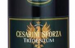Tridentum-2007.jpg
