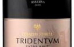 Tridentum-Riserva-Extra-Brut-2005.jpg