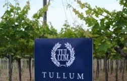 LA DOP TULLUM DIVENTA UFFICIALMENTE UNA DOCG