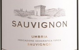 Arnaldo Caprai Umbria Sauvignon 2019