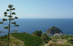 Un'intesa vincente: D'Ambra-Migliaccio