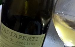 Vadiaperti-Fiano-2013.jpg