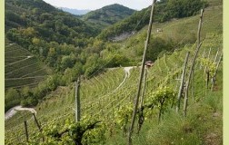 Valdobbiadene Vigneti di Prosecco Le Volpere