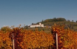 Valentino Butussi Friuli  