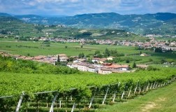 Valpolicella-DOC-Classico_San-Pietro-in-Cariano-Castelrotto