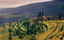 Vigneti in Valpolicella