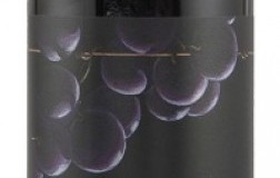 Terre di Leone Valpolicella Classico Superiore Ripasso 2015
