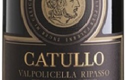 Bertani Valpolicella Ripasso Classico Superiore Catullo 2016