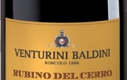 Venturini Baldini Lambrusco Reggiano Rubino del Cerro 2019