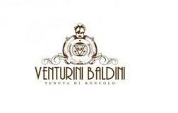 Venturini Baldini logo