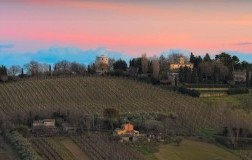 Verdicchio Luzano, bontà da Marotti Campi