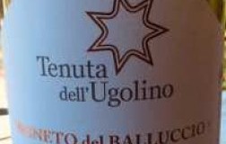 Tenuta dell'Ugolino Verdicchio dei Castelli di Jesi Classico Superiore Vigneto del Balluccio 2017