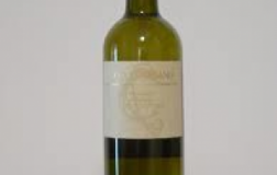 Verdicchio-di-Matelica-2005.jpg