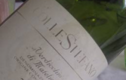 Verdicchio-di-Matelica-2006.jpg