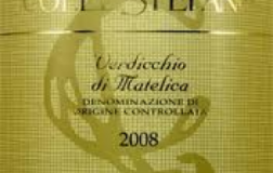 Verdicchio-di-Matelica-2008.jpg