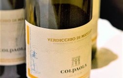 Verdicchio-di-Matelica-2016.jpg