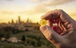 Acino di Vernaccia di San Gimignano con il borgo sullo sfondo