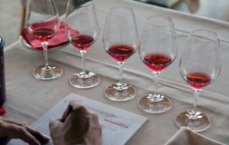 Degustazione Vernatsch Schiava Alto Adige Vino Rosso