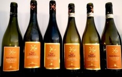 Verticale Pievalta Castelli di Jesi Verdicchio Classico San Paolo Riserva