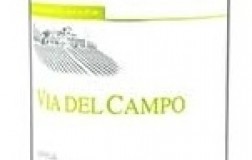 Via-del-Campo-2016.jpg