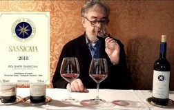 Video Sassicaia Daniele Cernilli DoctorWine