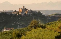 Vietti, grandi Barolo ma anche la Barbera d’Alba…