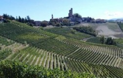 vietti vigneti castiglione falletto langhe freisa vivace 2016