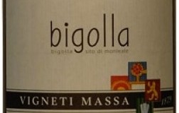 Vigneti Massa Colli Tortonesi Barbera Bigolla 2005